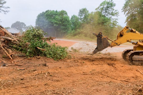 Ground Clearing in Avon