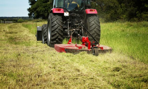 Brush Clearing Service in Avon