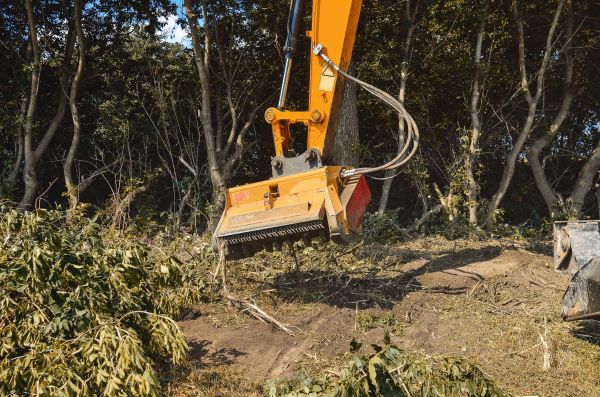 Brush Removal Service in Avon