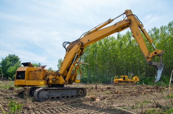 Cost of Farm Clearing in Avon