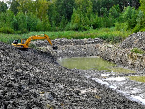 Cost of Lake Lot Clearing in Avon