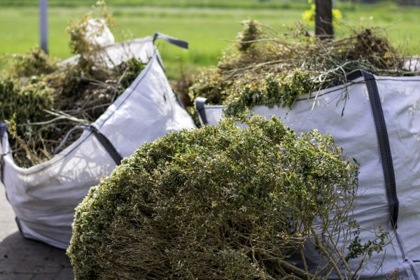 Cost of Bushes Clearing in Avon