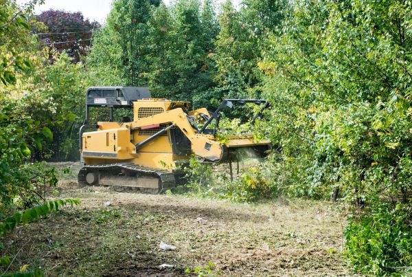 Cost of Pathway Clearing in Avon