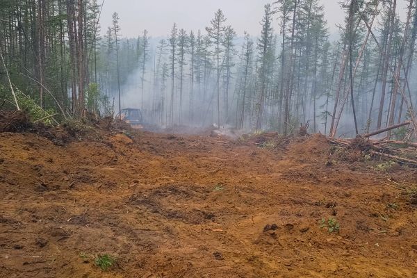 Cost of Hill Clearing in Avon