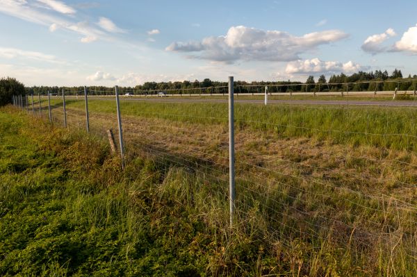 Cost of Property Line Clearing in Avon