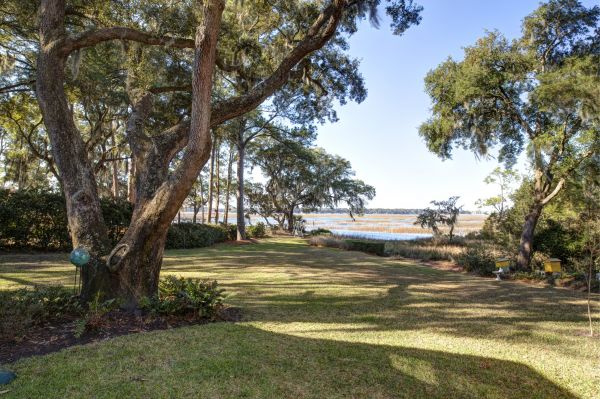 Cost of Lakefront Property Clearing in Avon