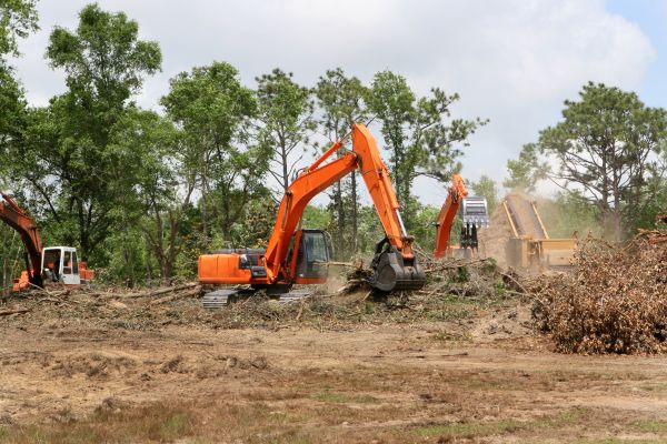 Cost of Commercial Lot Clearing in Avon